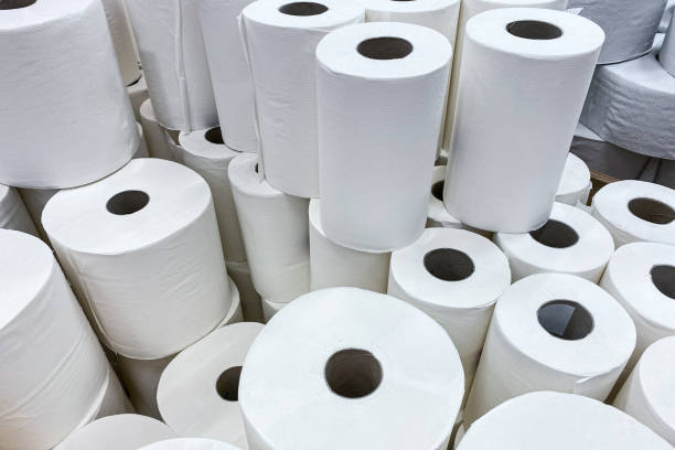 The Rise and (Hopeful) Fall of Disposable Paper Towels: